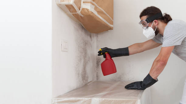 Professional Bathroom Mold Removal technician working in Port Washington, NY