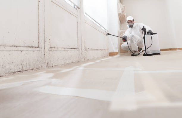24/7 Emergency Bathroom Mold Removal experts in Port Washington, NY